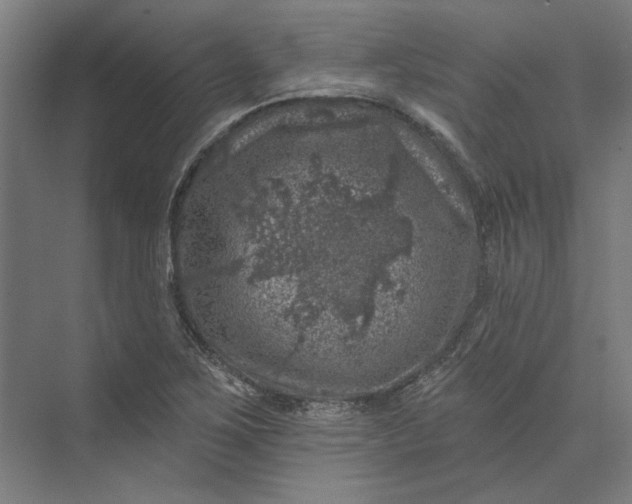 X0000074041267200609061158