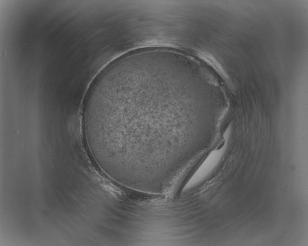 X0000074041268200609061158