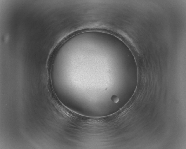 X0000074041270200609061158