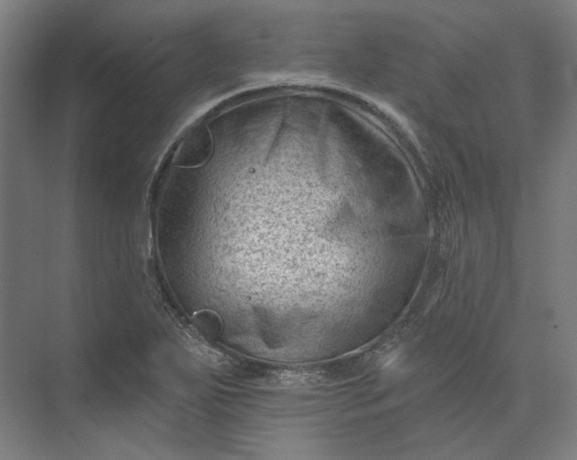 X0000074041271200609061158