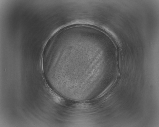 X0000074041272200609061158