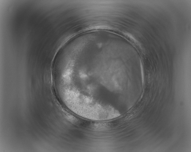 X0000074041274200609061158