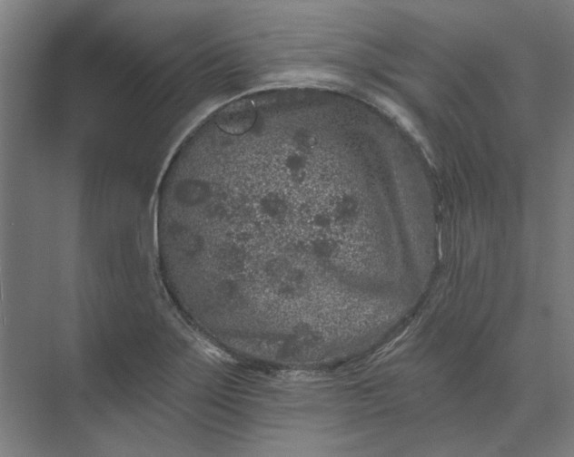 X0000074041275200609061158