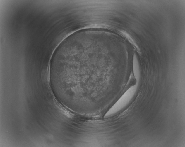 X0000074041276200609061158