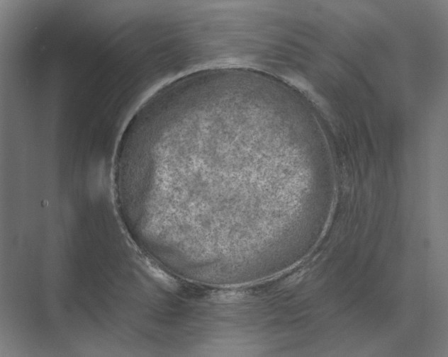 X0000074041278200609061158