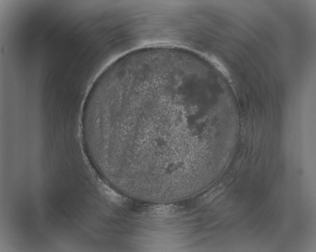 X0000074041279200609061158