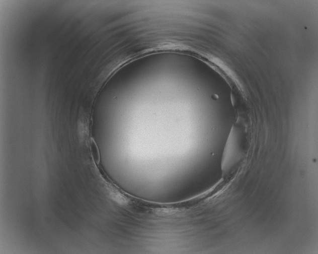 X0000074041281200609061158