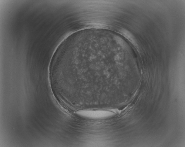 X0000074041283200609061158