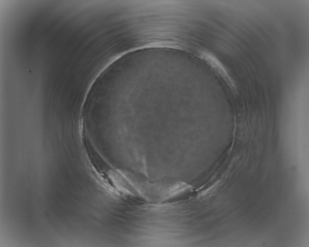 X0000074041284200609061158