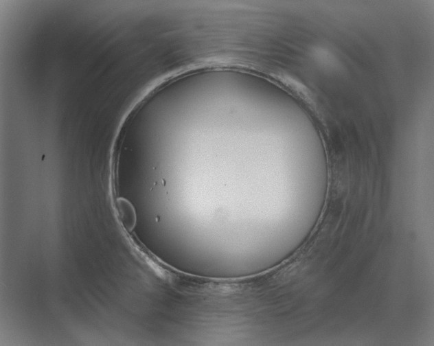 X0000074041286200609061158