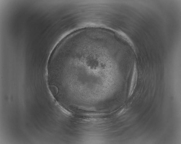 X0000074041287200609061158