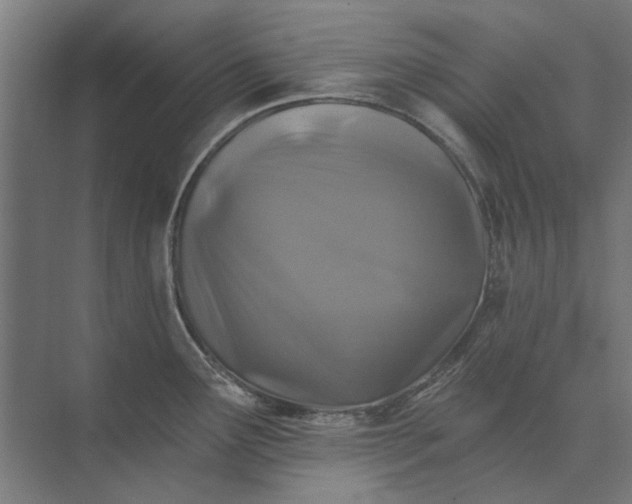 X0000074041291200609061158