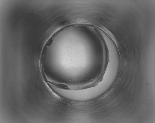 X0000074041293200609061158