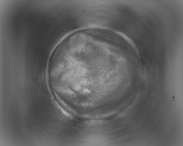 X0000074041294200609061158