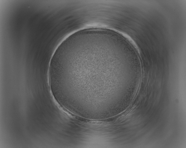 X0000074041295200609061158