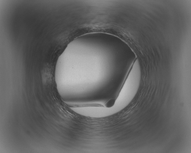 X0000074041300200609061157