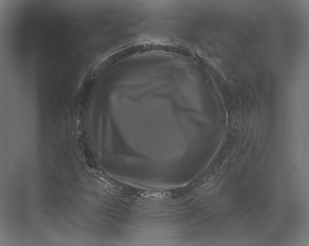 X0000074041303200609061157