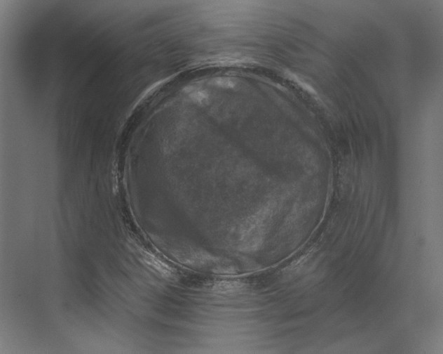 X0000074041306200609061157