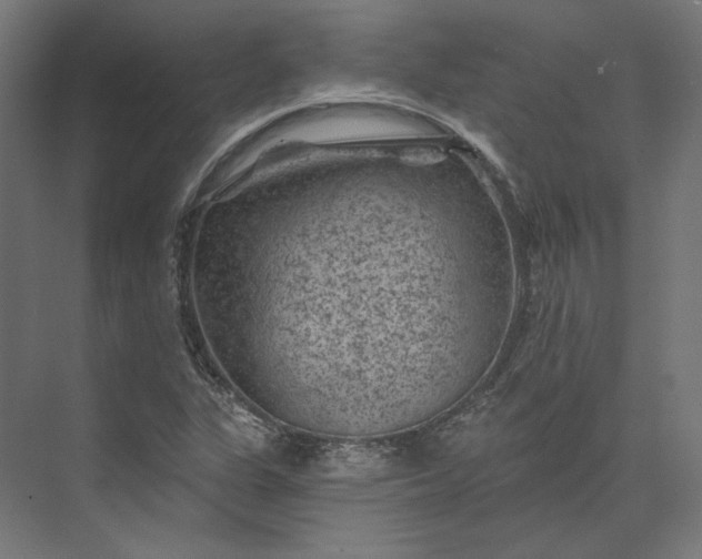 X0000074041311200609061157