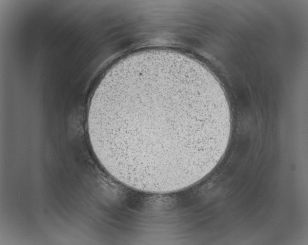 X0000074041314200609061157