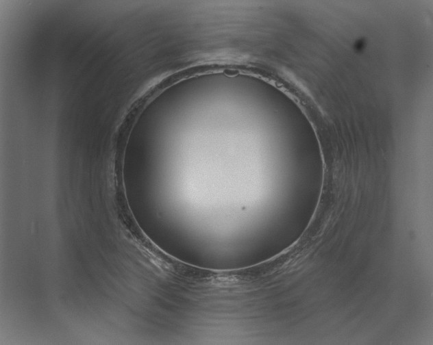 X0000074041315200609061157