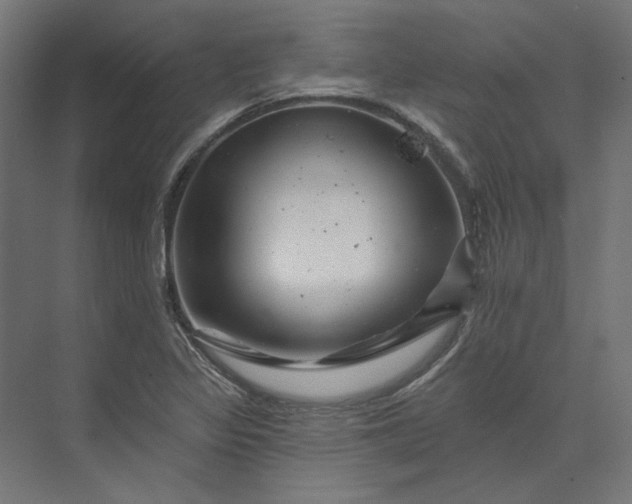 X0000074041317200609061157