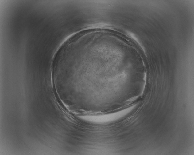 X0000074041320200609061157