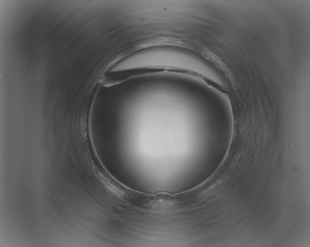 X0000074041321200609061157