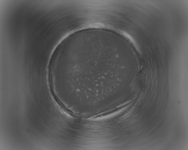 X0000074041326200609061157