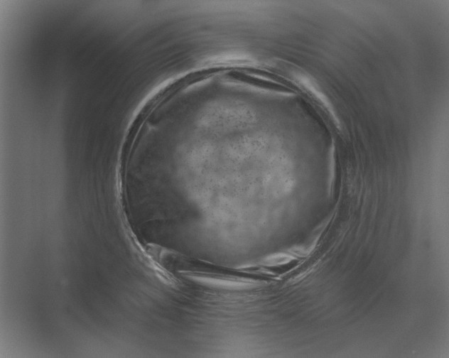 X0000074041328200609061157