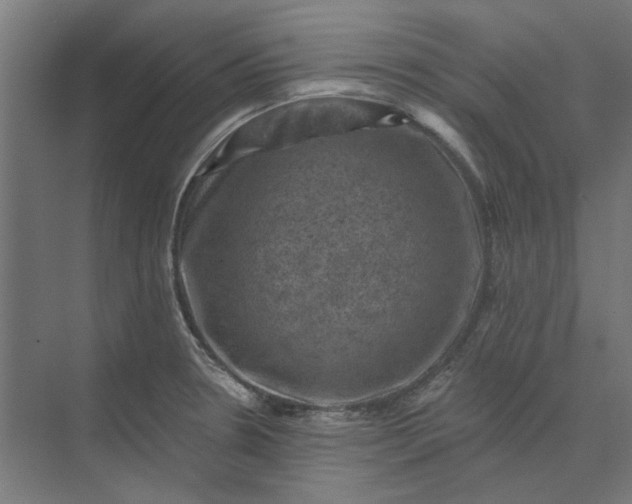 X0000074041330200609061157