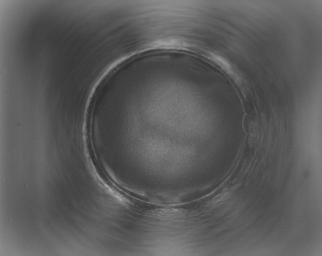 X0000074041331200609061157