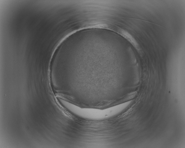 X0000074041332200609061157