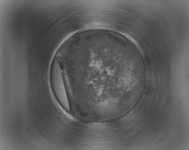 X0000074041333200609061157