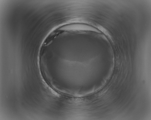 X0000074041334200609061157