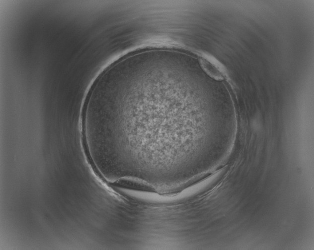 X0000074041335200609061157