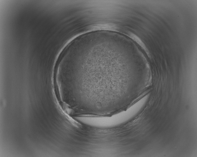 X0000074041339200609061158