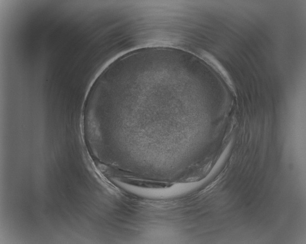 X0000074041340200609061158