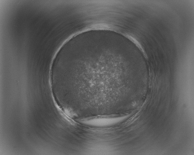 X0000074041342200609061158