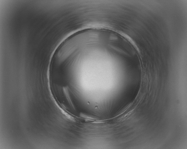 X0000074041343200609061158