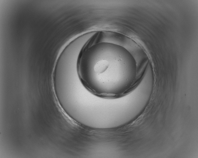 X0000074041344200609061158