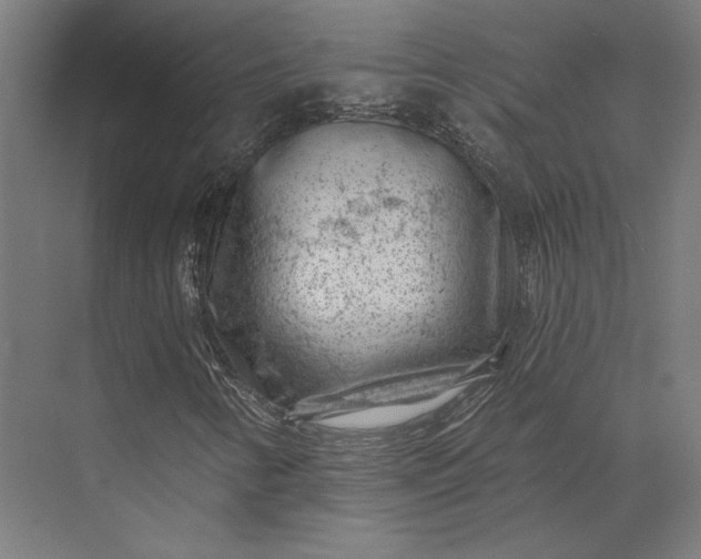 X0000074041346200609061157