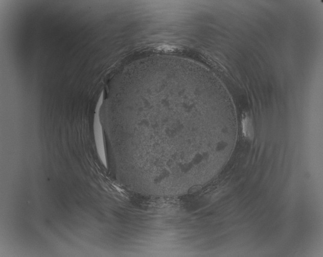 X0000074041347200609061157