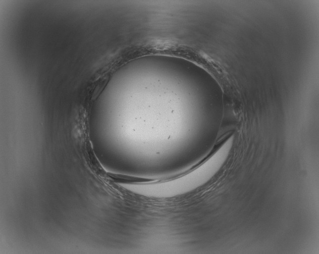 X0000074041349200609061157