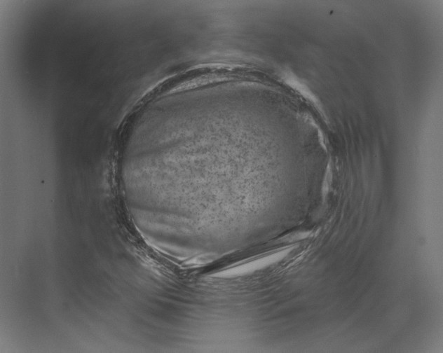 X0000074041352200609061157