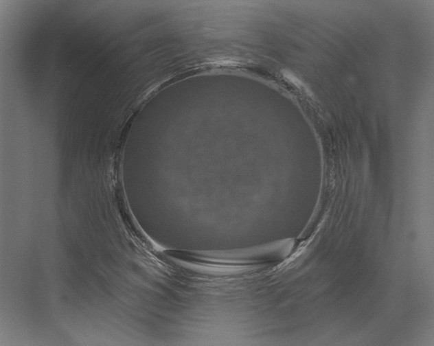 X0000074041353200609061157