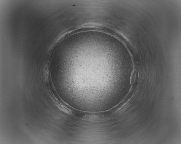 X0000074041355200609061157