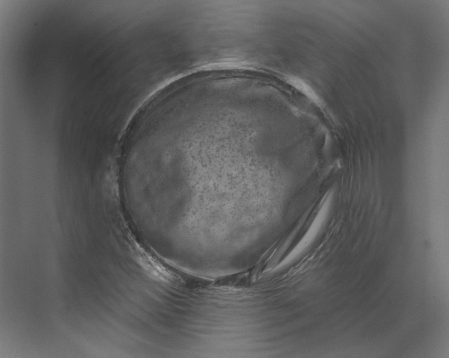 X0000074041356200609061157