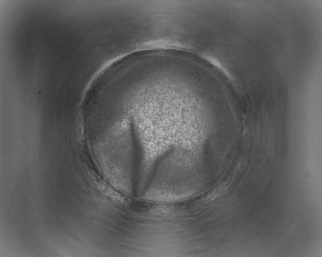 X0000074041358200609061157