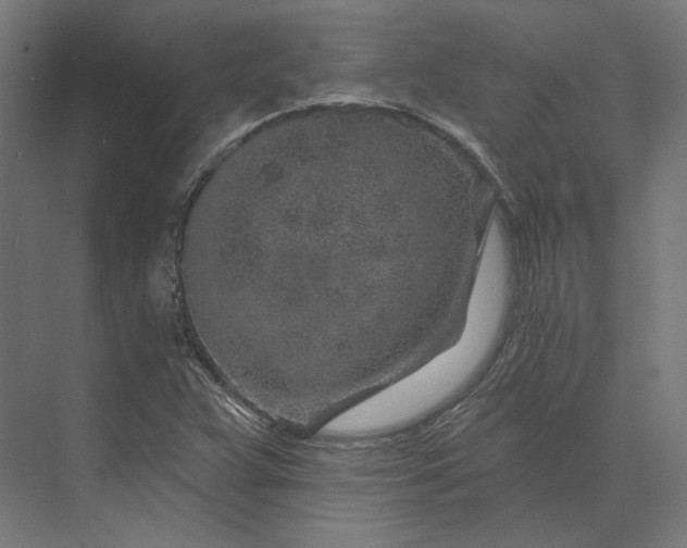 X0000074041359200609061157